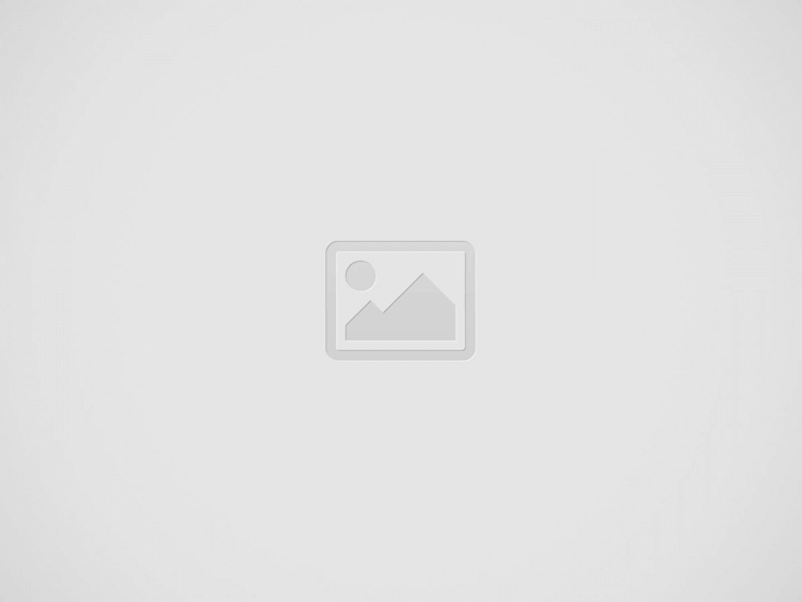 Bedava Bahisi Nasıl Kullanacağım?